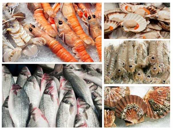 湛江海鮮報關公司哪家好湛江水產(chǎn)品報關