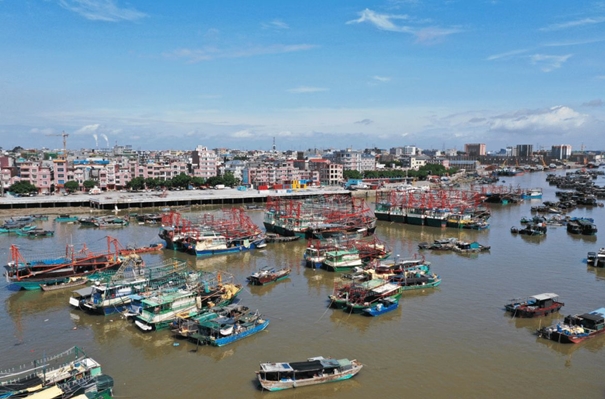 廣西防城港報關行哪家比較好的? 廣西防城港報關行哪家比較好的?