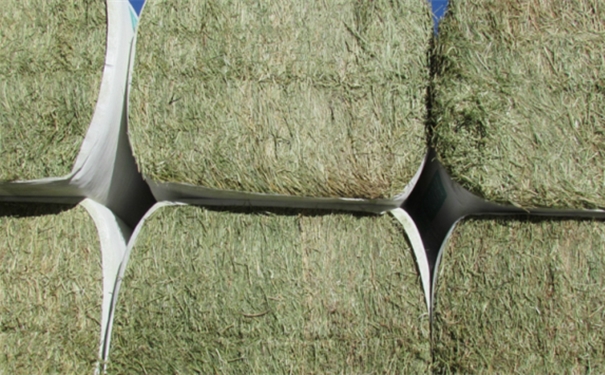 進口飼料清關需要哪些資質