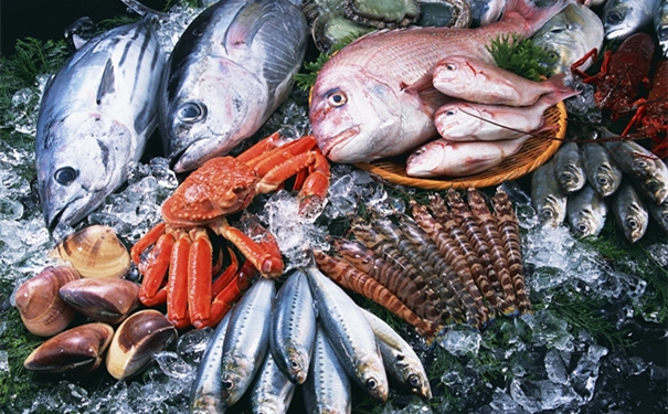 俄羅斯水產品進口報關公司哪家比較好