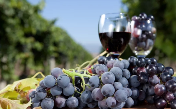 進口紅葡萄酒代理報關申報要素以及稅率