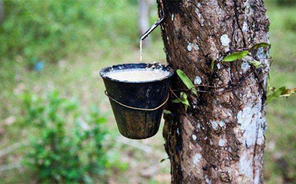 天津進口橡膠報關需要什么單證