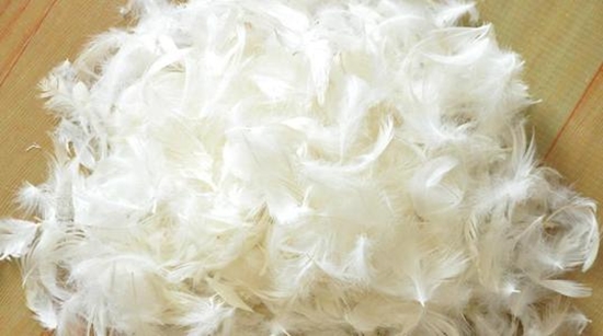 鴨毛進口報關，給大家普及一下相關知識