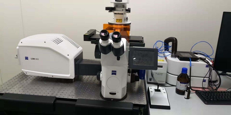 報關指南!環境科研設備進口報關手續流程與注意事項