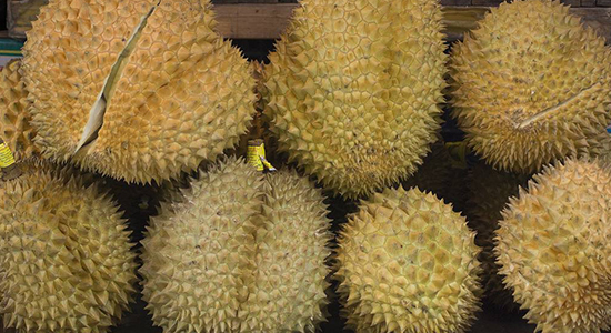 泰國進口榴蓮報關的注意事項,你一定要了解的 泰國進口榴蓮報關的注意事項,你一定要了解的