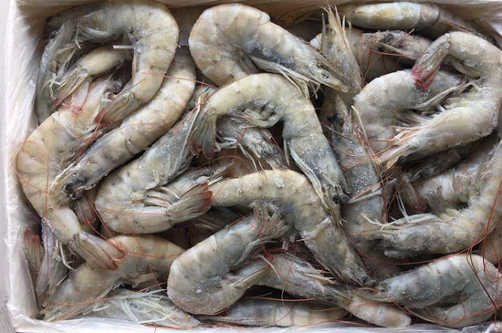 印度白蝦進口報關稅率及報關技巧