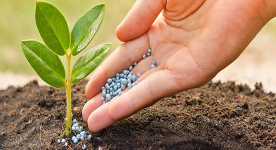 超實(shí)用！農(nóng)作物肥料進(jìn)口清關(guān)流程以及單證資料