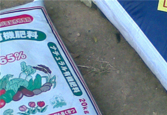 化肥進口報關流程手續等相關知識解答