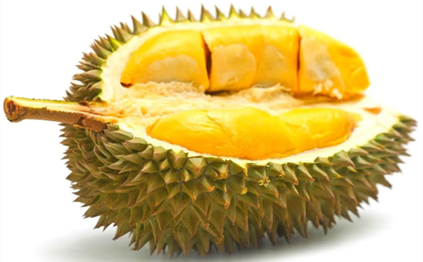 進口馬來西亞榴蓮清關要注意什么呢