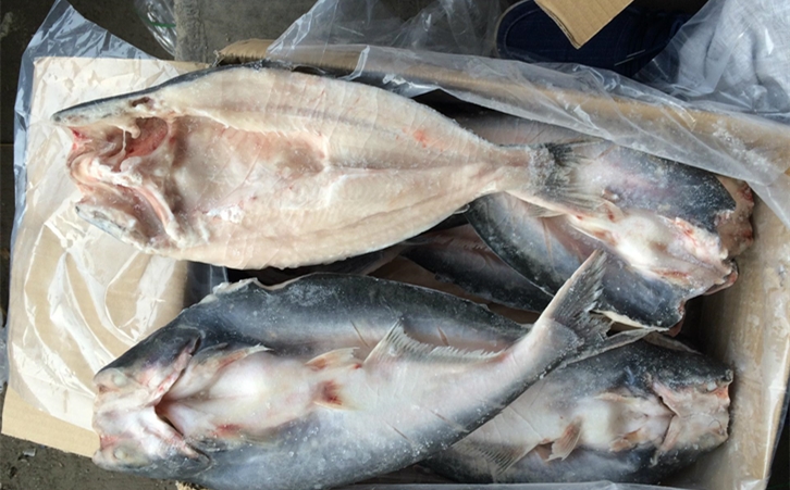 進口巴沙魚清關代理一點都不難,只要你準備好這些資料 進口巴沙魚清關代理一點都不難,只要你準備好這些資料