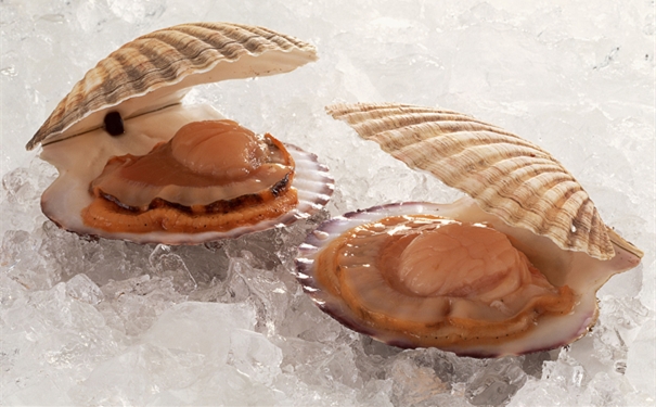 【進(jìn)口扇貝清關(guān)代理】的流程，一般貿(mào)易進(jìn)口扇貝