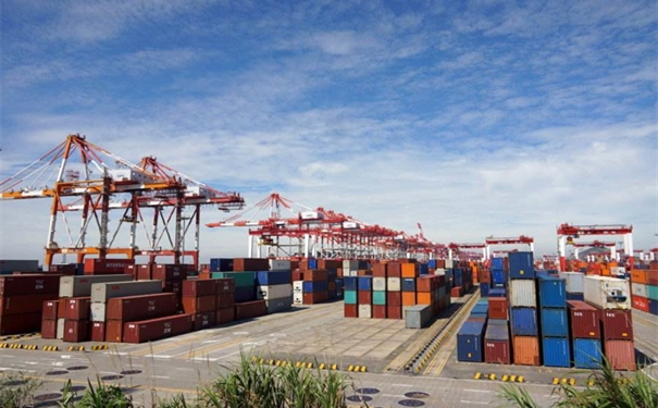 牧草進口清關代理小知識,超詳細 牧草進口清關代理小知識,超詳細