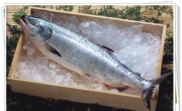 上海水產(chǎn)品進口報關公司