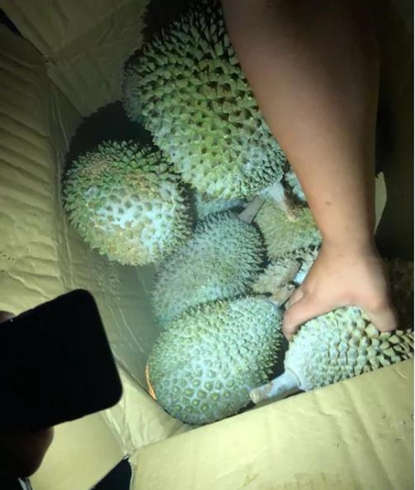 泰國進口榴蓮清關公司榴蓮報關公司