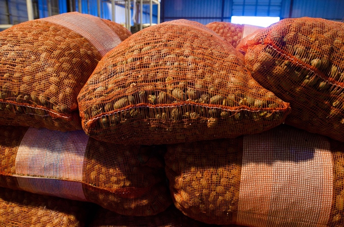 碧根果進口報關一般貿易流程