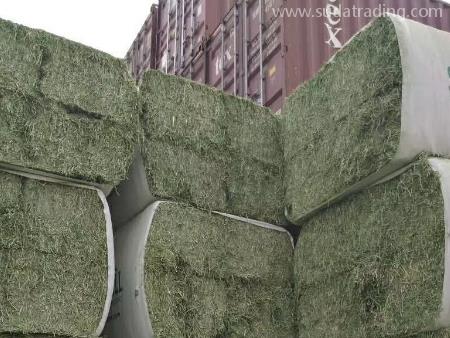 苜蓿草東莞進(jìn)口清關(guān)手續(xù)文件有這些！