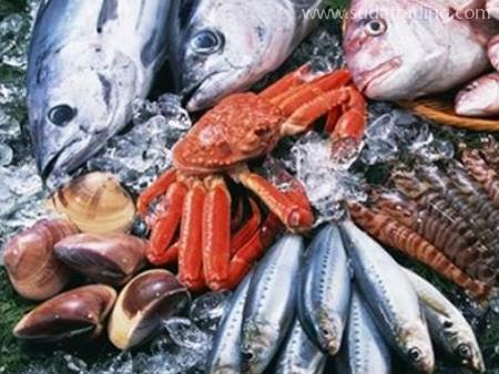 廣州白云區報關行告訴你進口水產品清關三要素