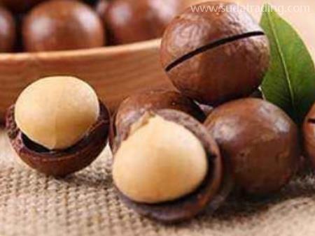 堅果進口機場清關代理注意事項與流程