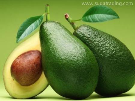 鱷梨進(jìn)口機(jī)場代理報關(guān)操作指南！