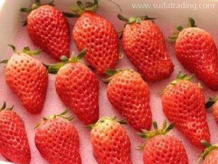 水果進口深圳專業報關公司廣東速達供應鏈！