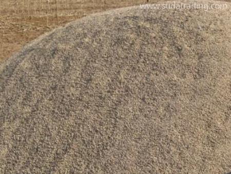 東莞沙田港報關公司帶你了解河沙進口清關檢測