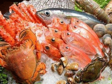 代理海鮮進口機場清關時間