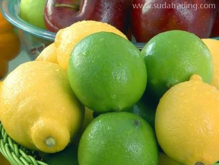 進口水果報關有幾點注意事項須知！