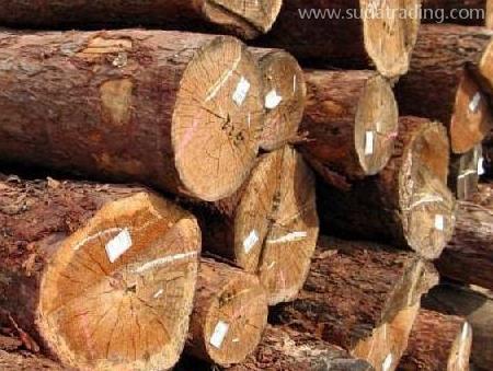 詳細版木材進口清關流程講解！建議收藏！