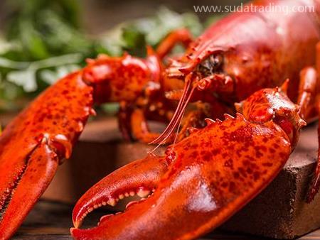 龍蝦進口報關流程與所需資料都在這！