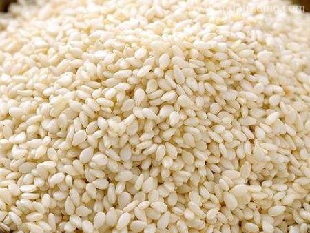 芝麻進口清關沒那么容易請先了解這幾點！