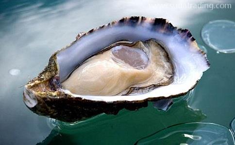 水產品生蠔進口報關清關一站式代理服務