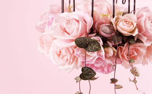 [須知]鮮花進(jìn)口報(bào)關(guān)注意事項(xiàng)|專(zhuān)業(yè)清關(guān)公司報(bào)道