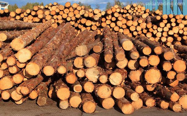 了解木材進口報關(guān)注意事項避雷區(qū)