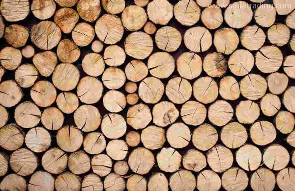 木材商你關心的進口原木報關問題解答都在這