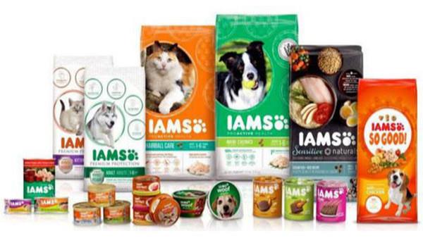 如何進(jìn)口寵物食品到國內(nèi)，有哪些流程