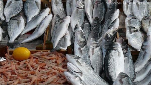 水產品進口報關需要辦理哪些手續？