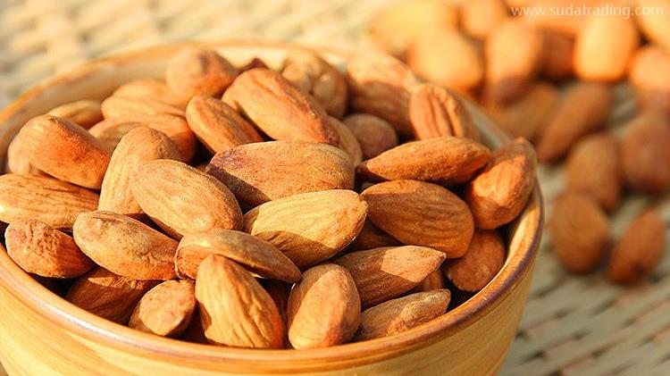 關于東莞扁桃仁進口報關代理，這些細節不可不知