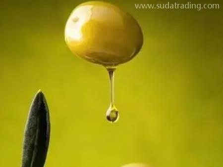 一般貿易代理橄欖油進口皇崗口岸報關流程與常見進口國