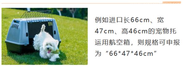 德國進口寵物用品報關的注意事項