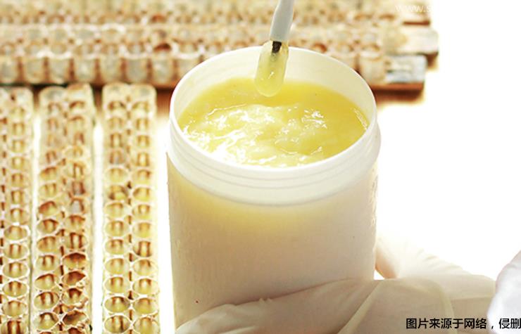 巴西蜂王漿進口清關流程蜂王漿清關公司