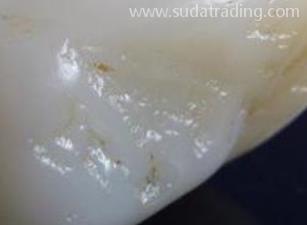 食用級生牛羊油脂進口操作流程