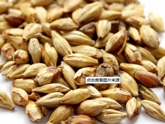 麥芽進口報關流程詳解