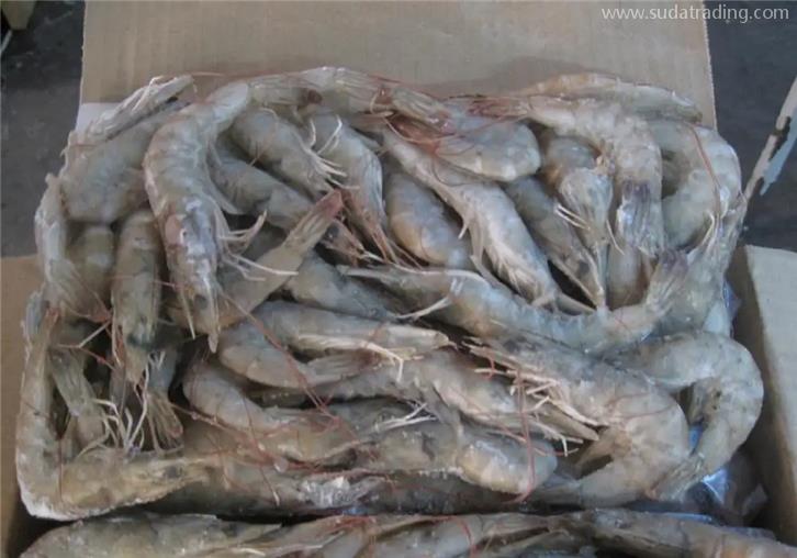 南美冷凍蝦進口清關初次操作?來看看這些內容