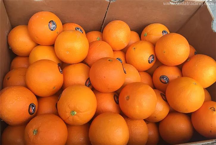 上海黃浦報關行推薦哪家比較好?