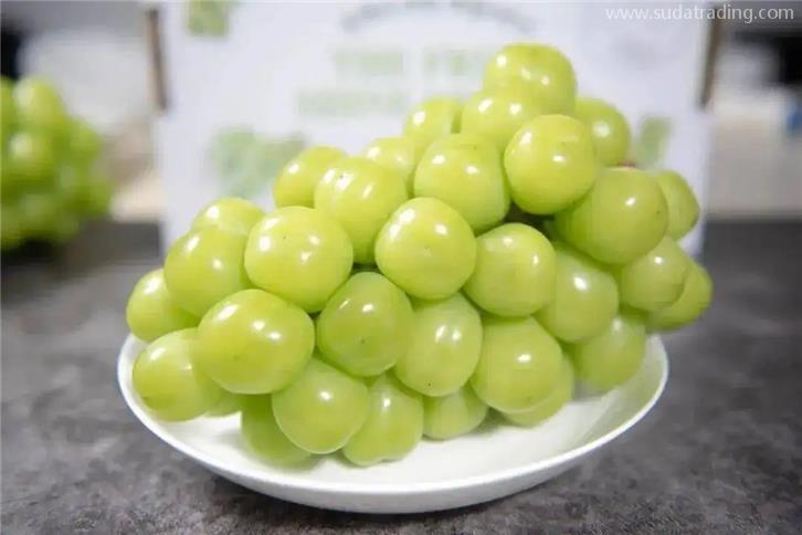 進口韓國葡萄報關的流程及葡萄準入目錄名單 進口韓國葡萄報關的流程及葡萄準入目錄名單