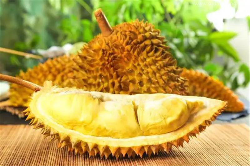 干貨!進口越南新鮮榴蓮清關需注意這些