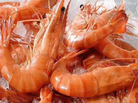 冷凍蝦佛山進口清關代理服務流程簡述