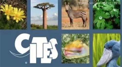 進口冷凍牛肉報關關稅是多少？