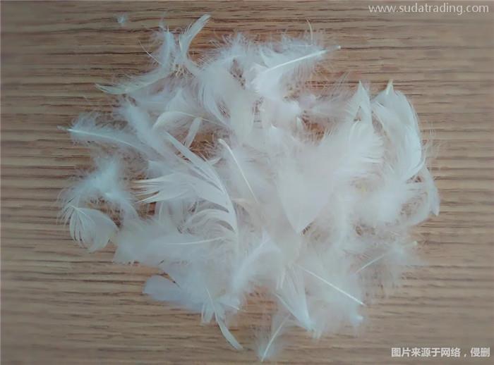 水洗白鴨毛進口報關的流程以及進口所需資料