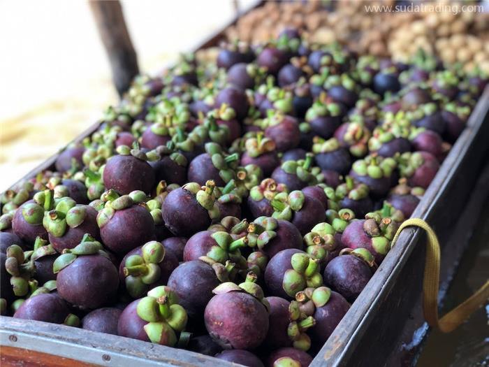 印度尼西亞進口山竹報關的關稅以及清關流程 印度尼西亞進口山竹報關的關稅以及清關流程